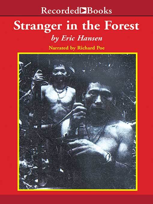 Cover image for Stranger in the Forest